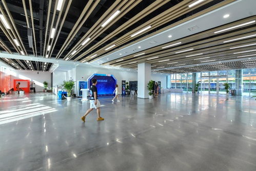 相約湖北 夢幻靈境AI展演中心即將開館，共探網絡技術開發新前沿